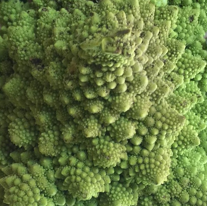 close up of a romanesque cauliflower