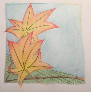 A coloured pencil sketch of fall leaves